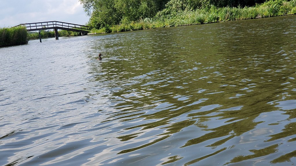 2019_0614_145031.jpg - Onderdijk - Oostwoud