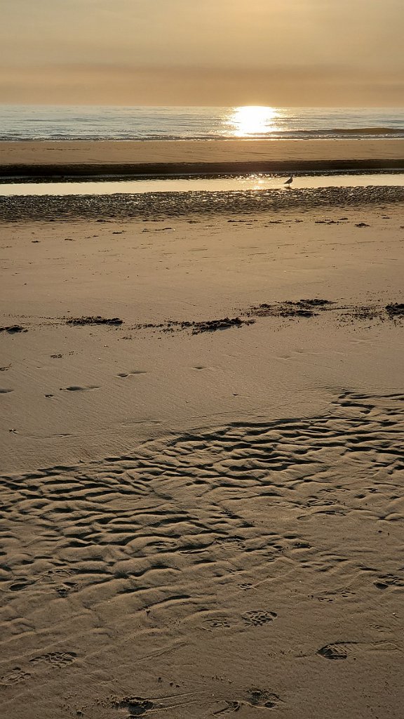 2019_0614_205525.jpg - Haregen aan Zee