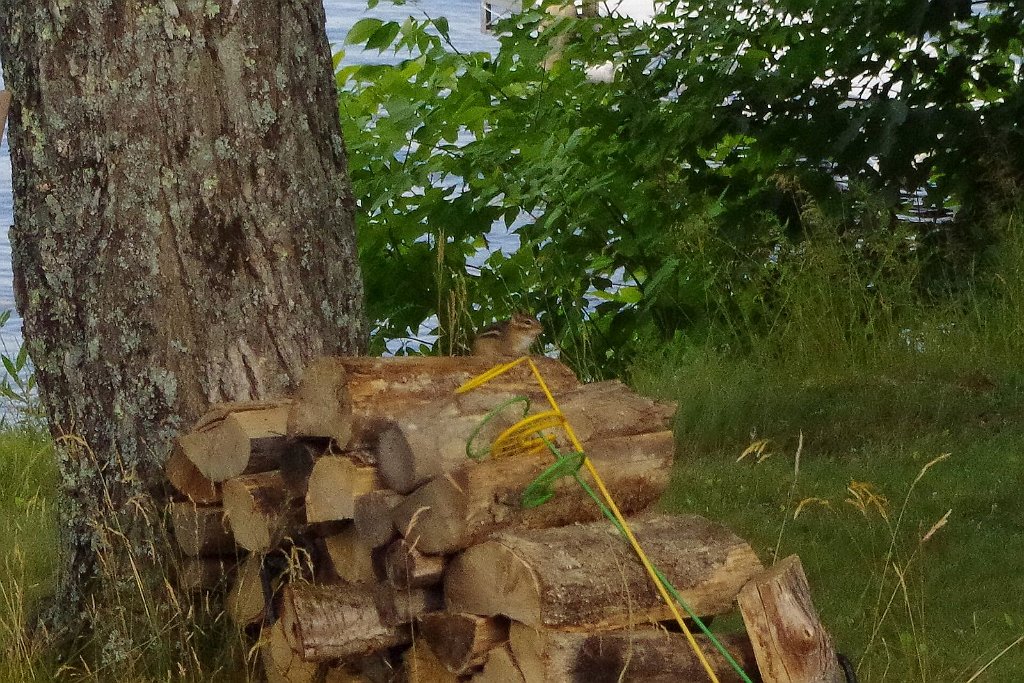 2019_0804_182817.JPG - Sunnyside @ Lake Gogebic