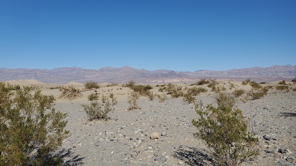 2019_1102_140409.jpg - Death Valley NP - Mesquite Flat Dunes