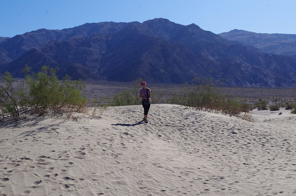 2019_1102_140911.JPG - Death Valley NP - Mesquite Flat Dunes