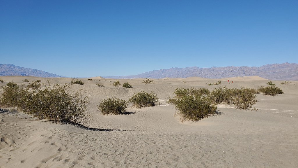 2019_1102_141110.jpg - Death Valley NP - Mesquite Flat Dunes
