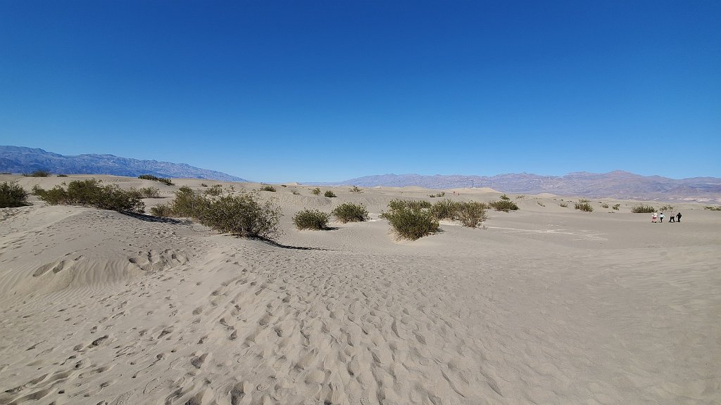 2019_1102_141118.jpg - Death Valley NP - Mesquite Flat Dunes