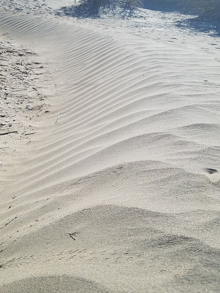 2019_1102_141435.jpg - Death Valley NP - Mesquite Flat Dunes