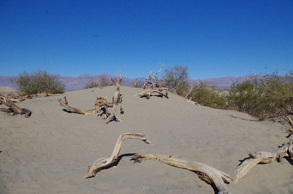 2019_1102_142042.JPG - Death Valley NP - Mesquite Flat Dunes