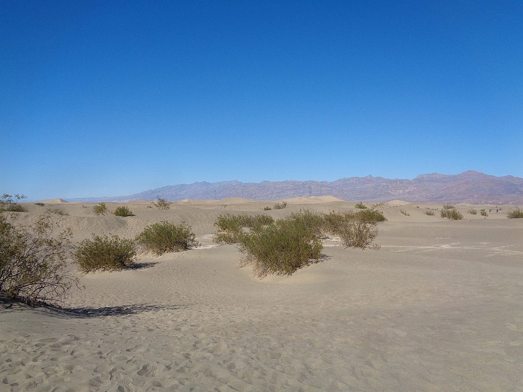 2019_1102_142334.JPG - Death Valley NP - Mesquite Flat Dunes