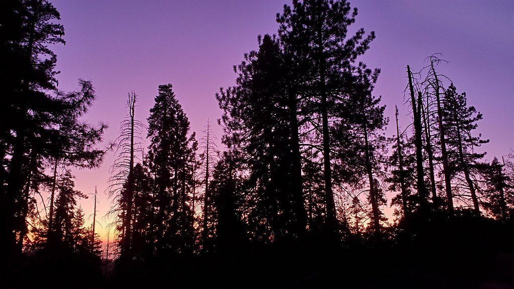 2019_1103_171550.jpg - Sequoia NP 