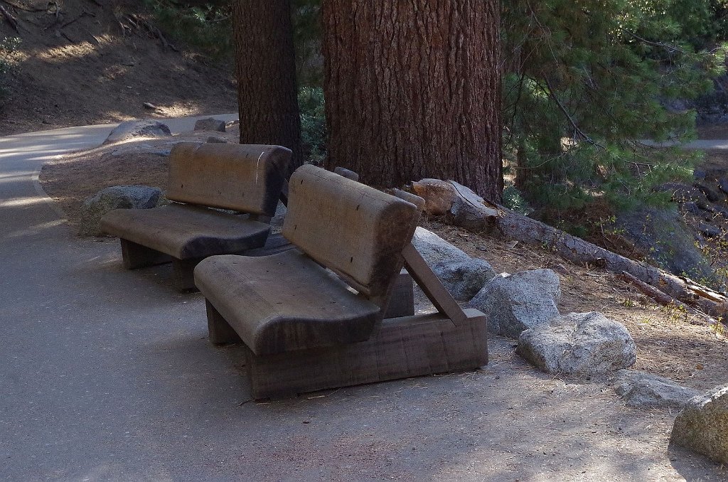 2019_1104_085405.JPG - Sequoia NP - General Sherman Trail