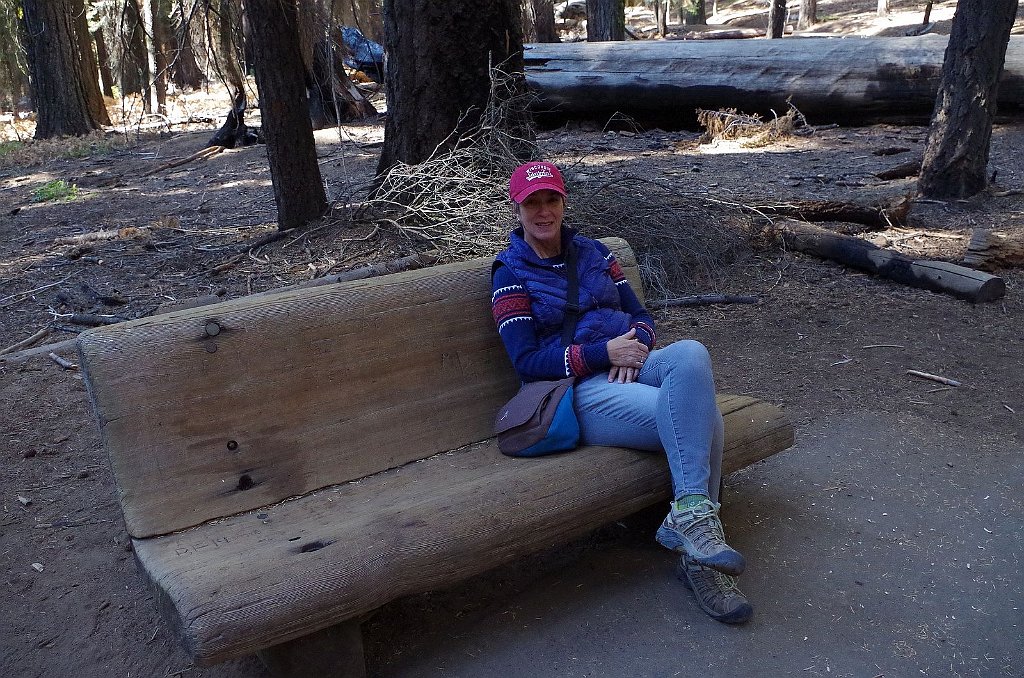 2019_1104_095604.JPG - Sequoia NP - Congress Trail - The President