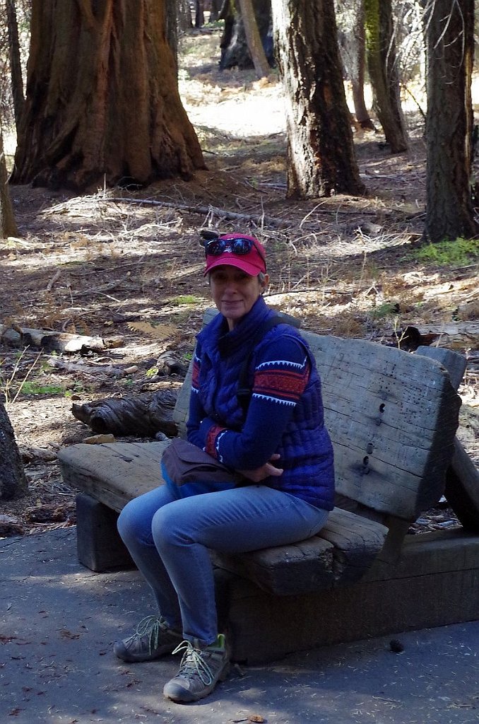 2019_1104_101704.JPG - Sequoia NP - Congress Trail - The House