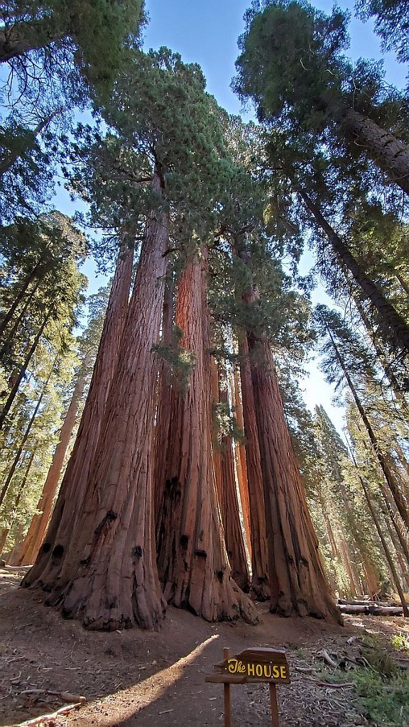 2019_1104_101707.jpg - Sequoia NP - Congress Trail - The House