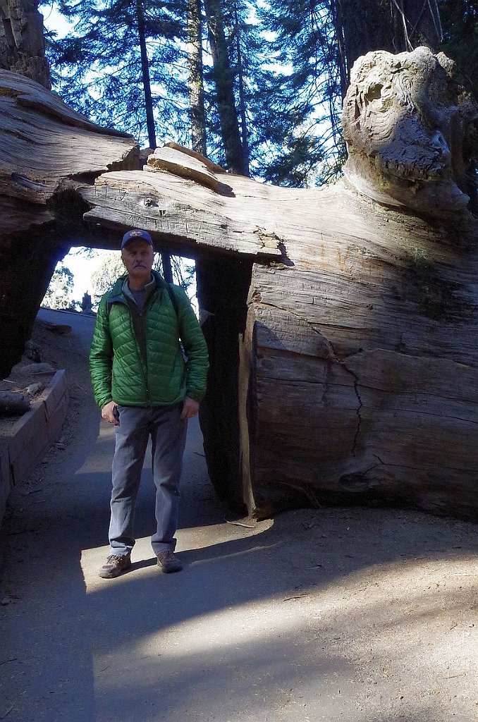 2019_1104_103032.JPG - Sequoia NP - Congress Trail