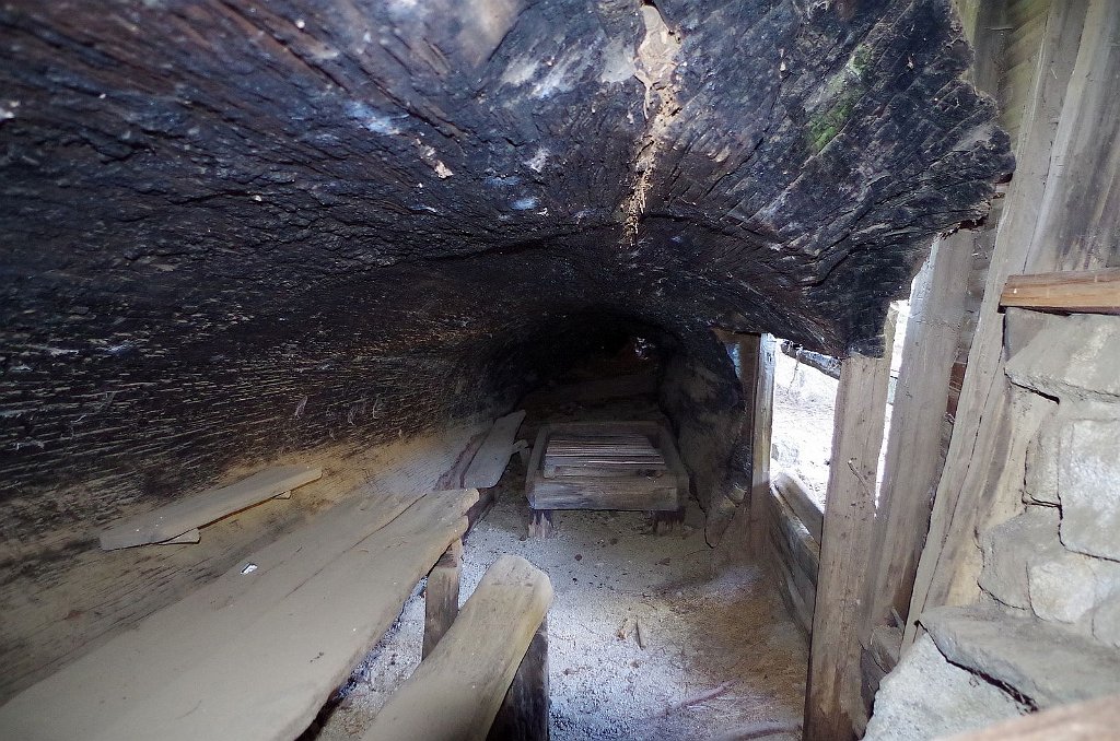 2019_1104_143040.JPG - Sequoia NP - Crescent Meadow Trail - Tharps Log