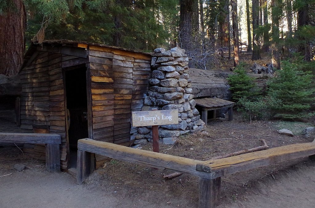 2019_1104_143103.JPG - Sequoia NP - Crescent Meadow Trail - Tharps Log