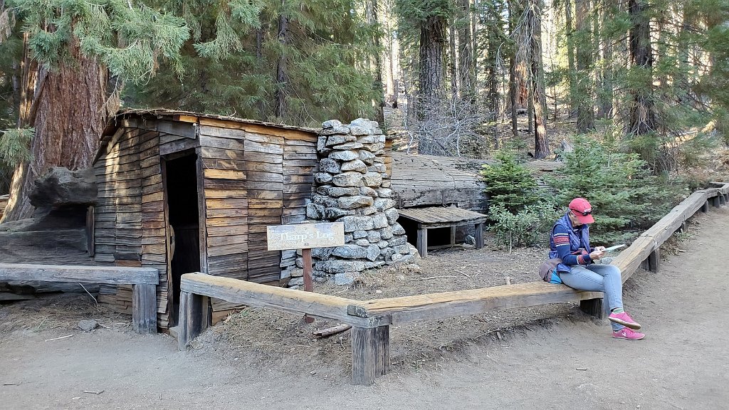 2019_1104_143441.jpg - Sequoia NP - Crescent Meadow Trail - Tharps Log