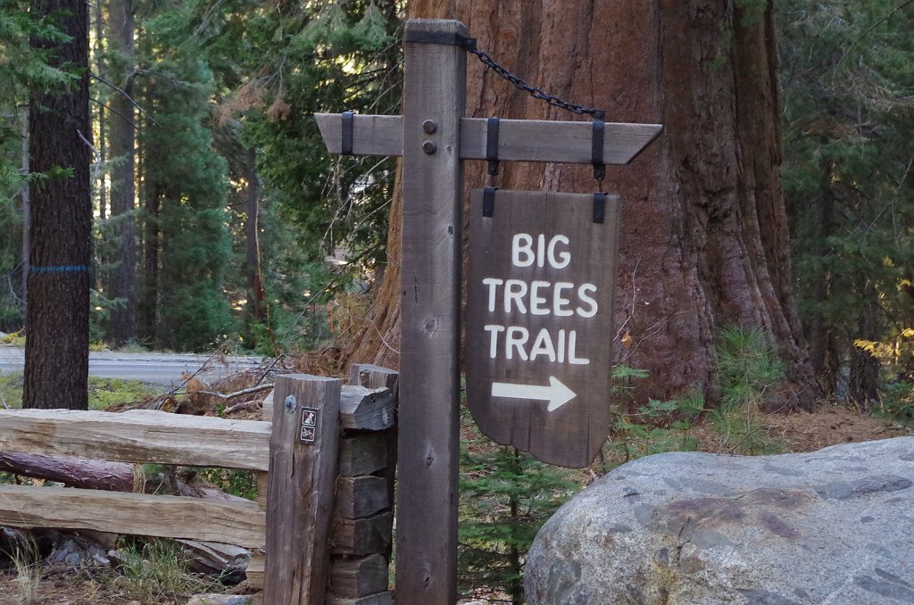 2019_1105_085827.JPG - Sequoia NP - Big Trees Trail