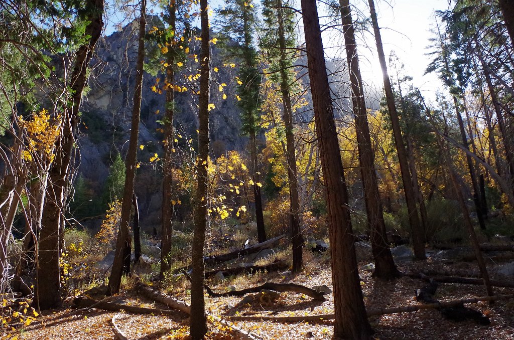 2019_1105_134808.JPG - Kings Canyon NP - Zumwalt Meadow