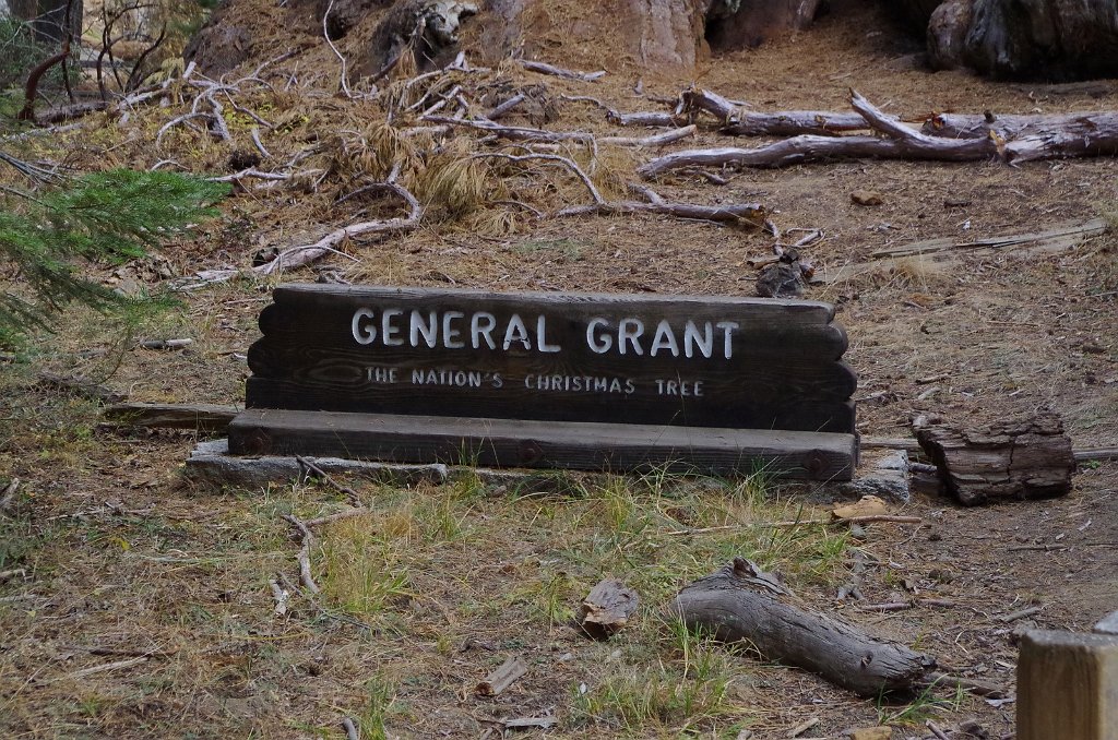 2019_1106_093351.JPG - Kings Canyon NP - General Grant Trail