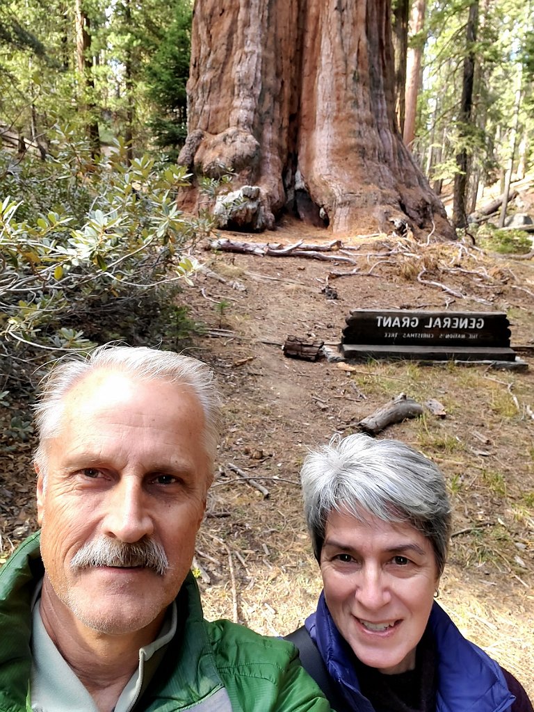 2019_1106_094405.jpg - Kings Canyon NP - General Grant Tree