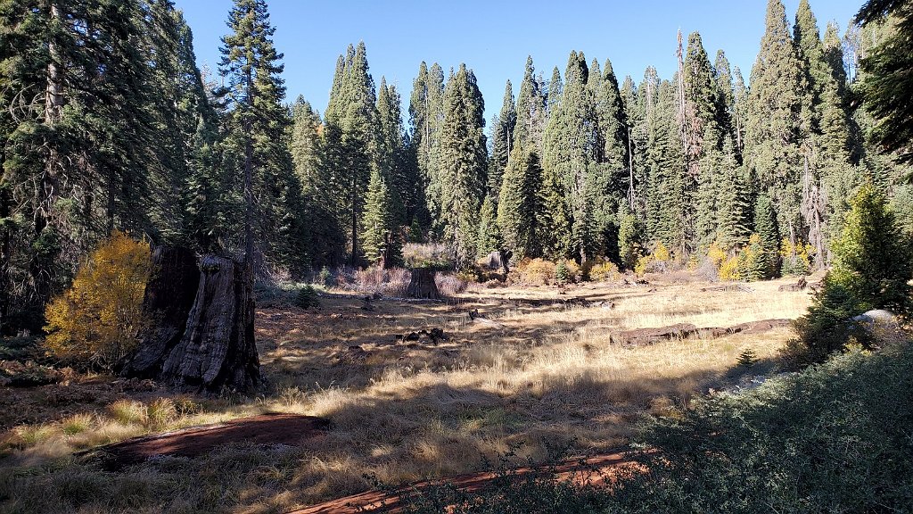 2019_1106_133400.jpg - Kings Canyon NP - Big Stump Trail