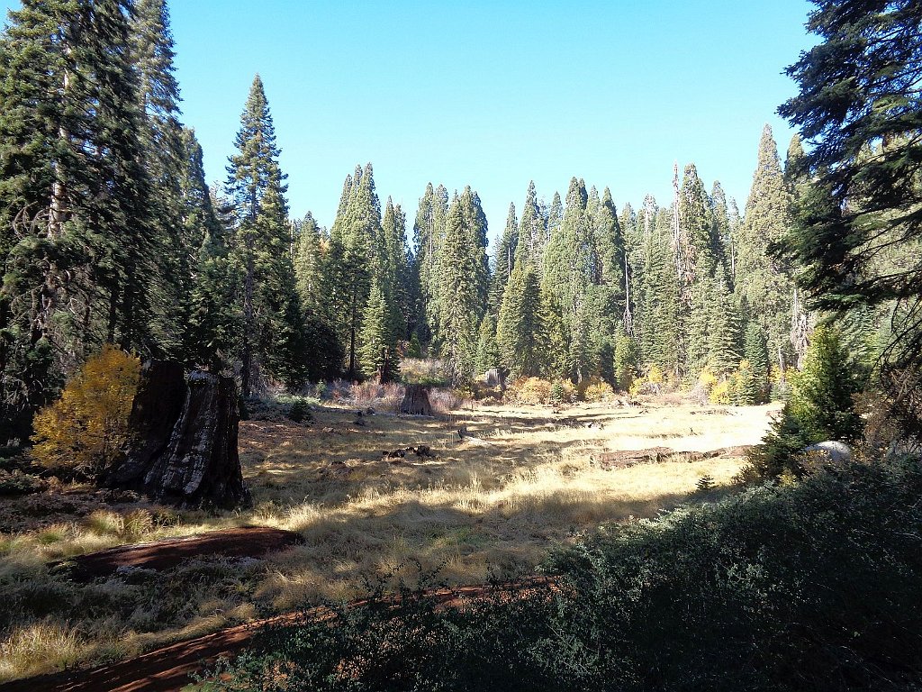 2019_1106_134306.JPG - Kings Canyon NP - Big Stump Trail