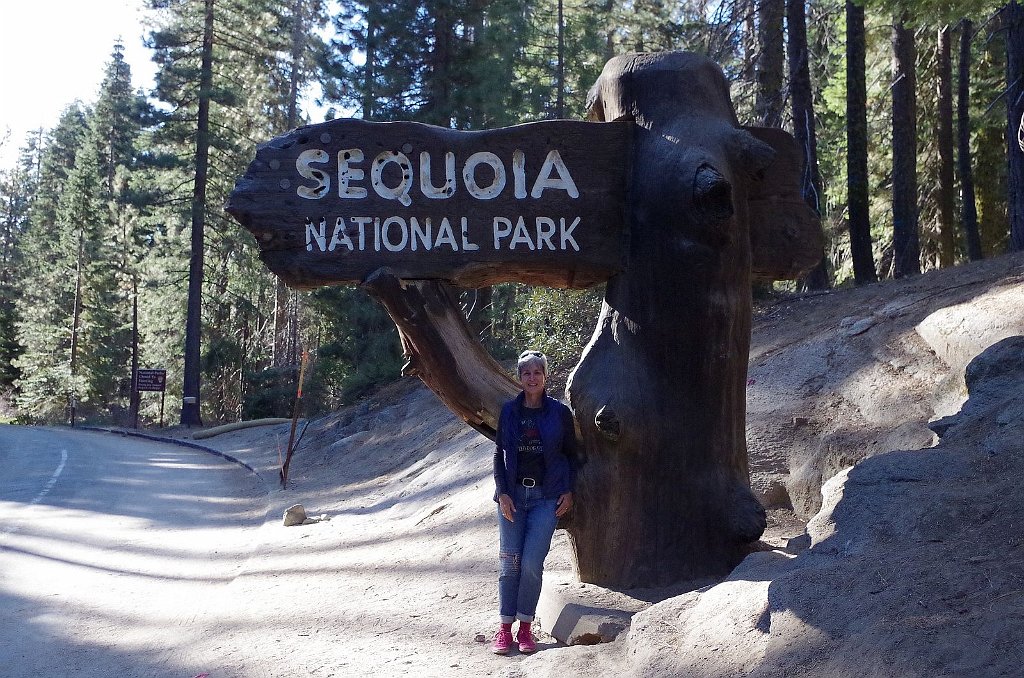 2019_1107_085925.JPG - Sequoia NP