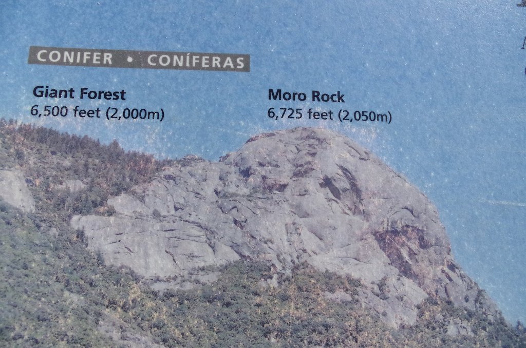 2019_1107_094554.JPG - Sequoia NP- Moro Rock