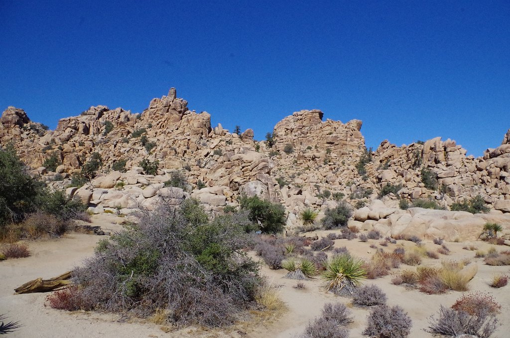 2019_1108_104131.JPG - Joshua Tree NP - Hidden Valley Trail