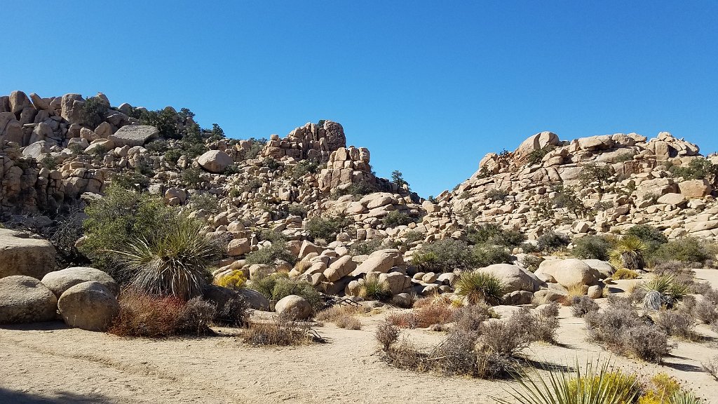 2019_1108_104219.jpg - Joshua Tree NP - Hidden Valley Trail