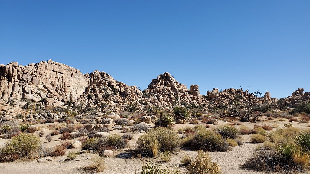 2019_1108_104618.jpg - Joshua Tree NP - Hidden Valley Trail