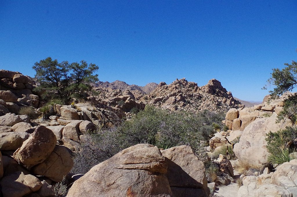 2019_1108_105444.JPG - Joshua Tree NP - Hidden Valley Trail