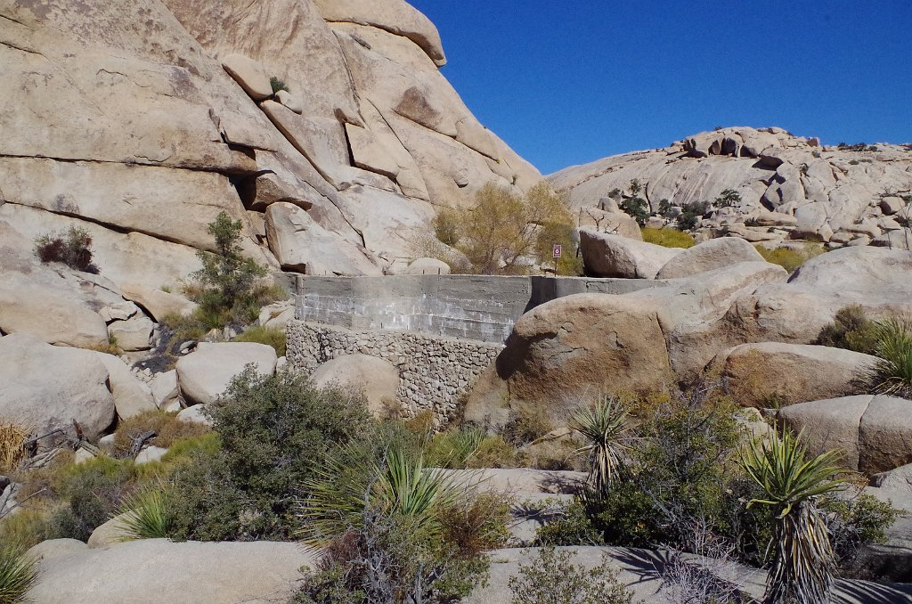 2019_1108_113246.JPG - Joshua Tree NP - Barker Dam Trail