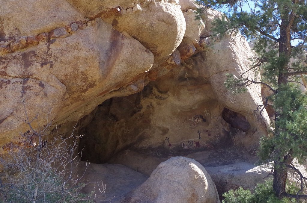 2019_1108_114536.JPG - Joshua Tree NP - Barker Dam Trail