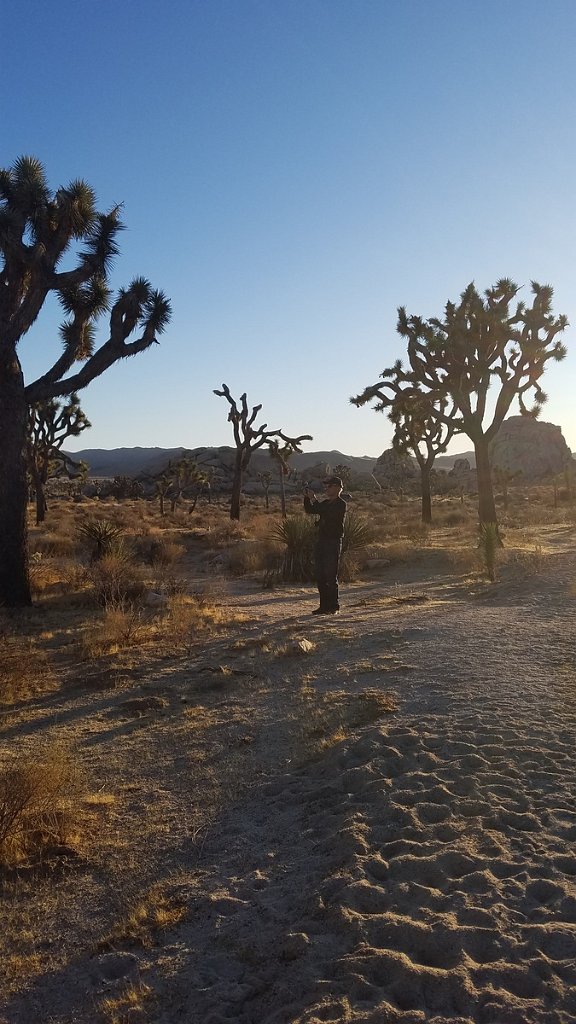 2019_1108_161525.jpg - Joshua Tree NP 