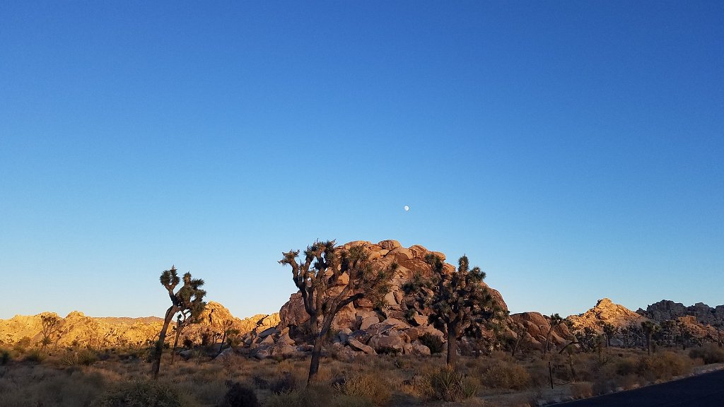 2019_1108_162617.jpg - Joshua Tree NP 