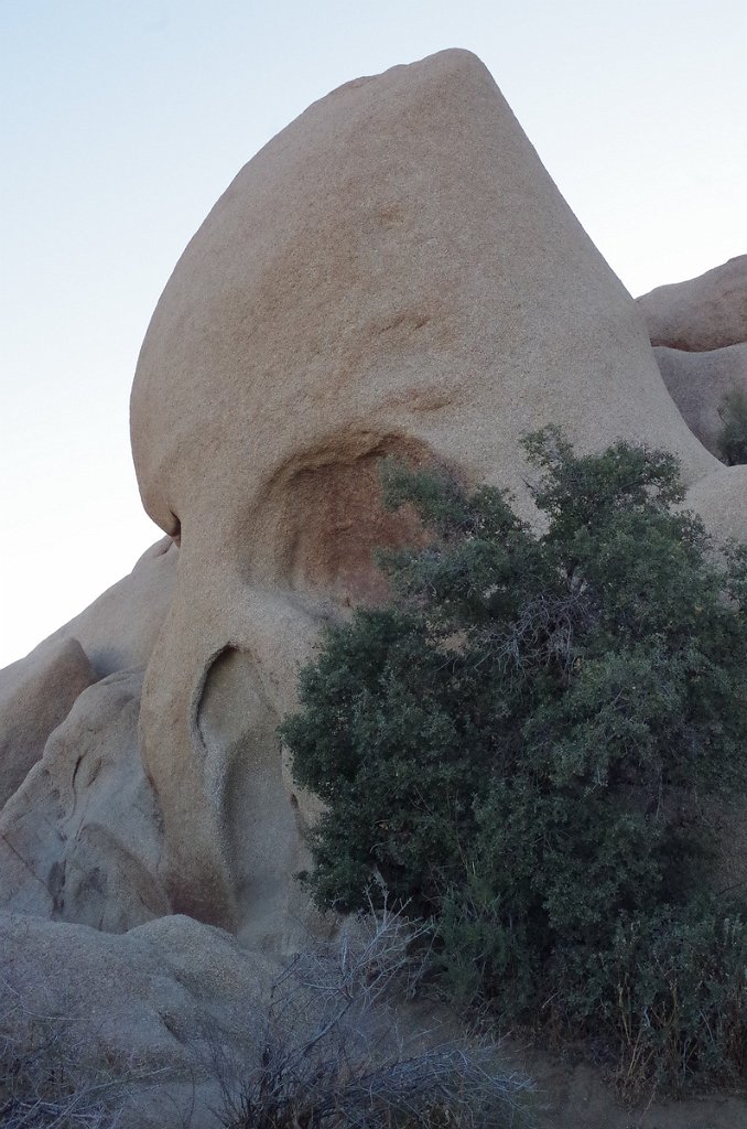 2019_1109_064834.JPG - Joshua Tree NP - Skull Rock