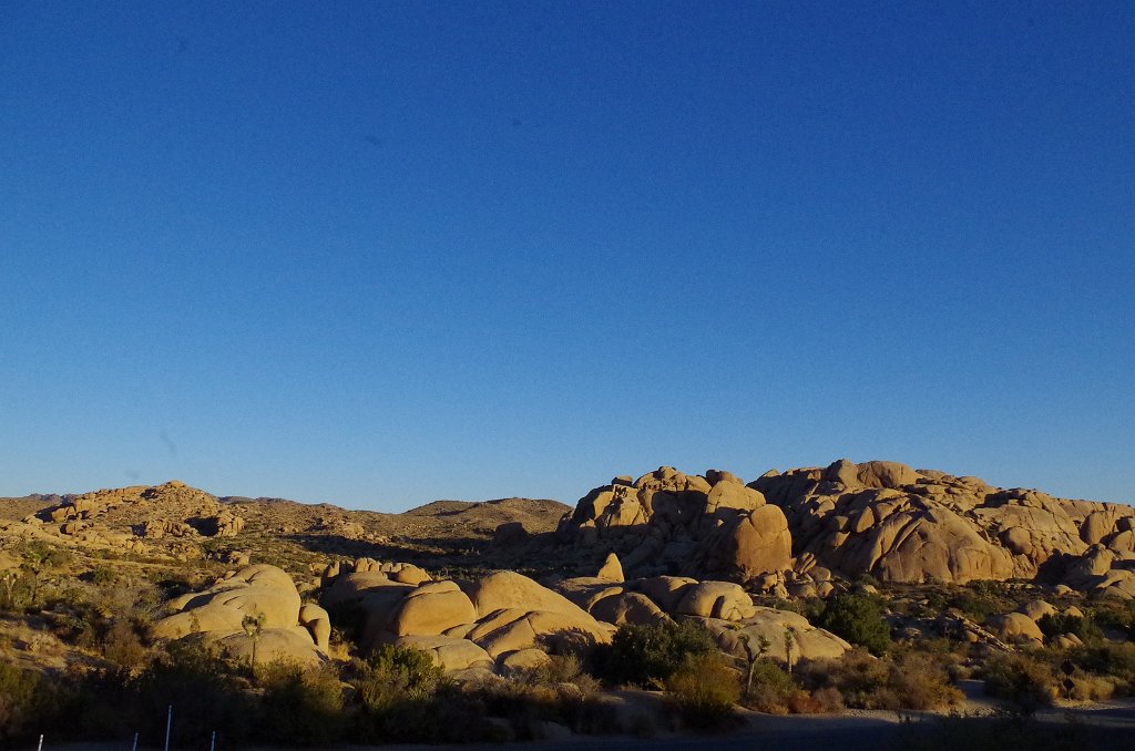 2019_1109_064941.JPG - Joshua Tree NP 