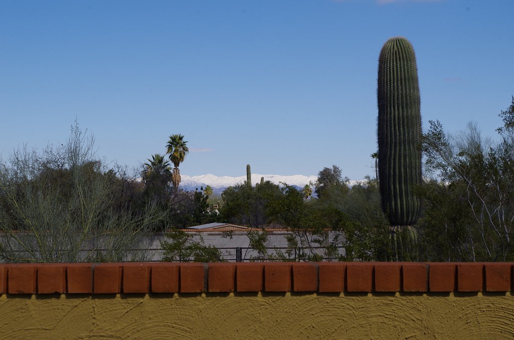 2019_0223_120652.JPG - Snow in Cave Creek