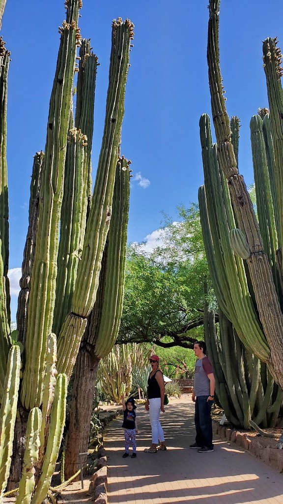 2019_0430_095547.jpg - Desert Botanical Gardens