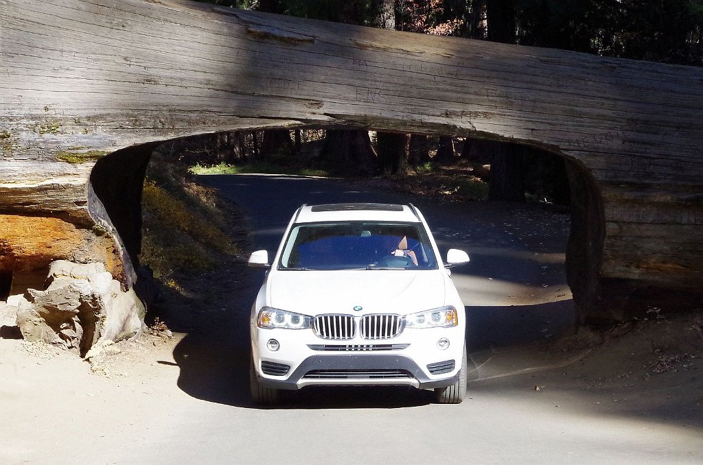 2019_1104_135813.JPG - Sequoia NP - Tunnel Log