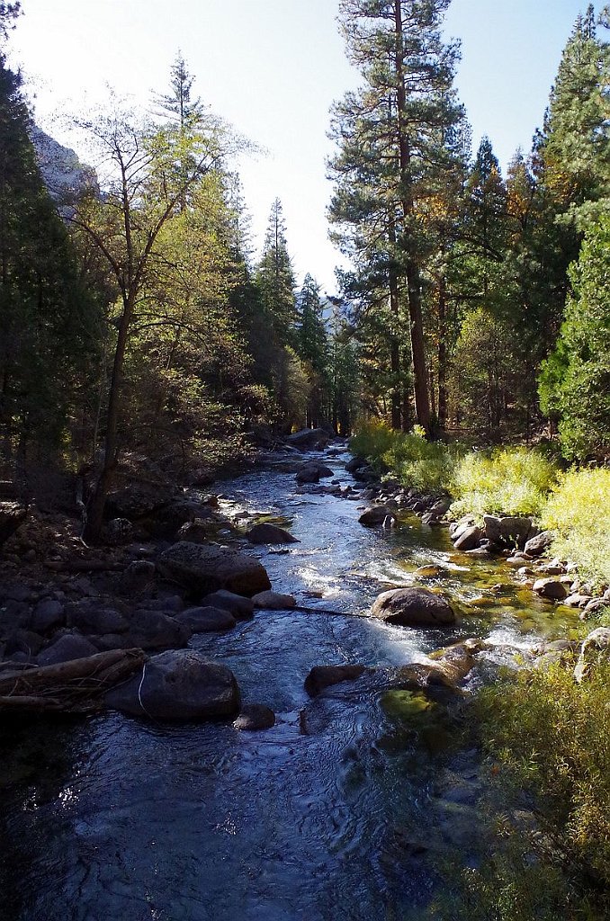 2019_1105_134451.JPG - Kings Canyon NP - Zumwalt Meadow