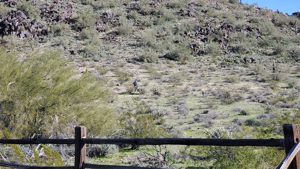 2019_1229_135913.jpg - Charly & Violet in the Phoenix Mountain Preserve