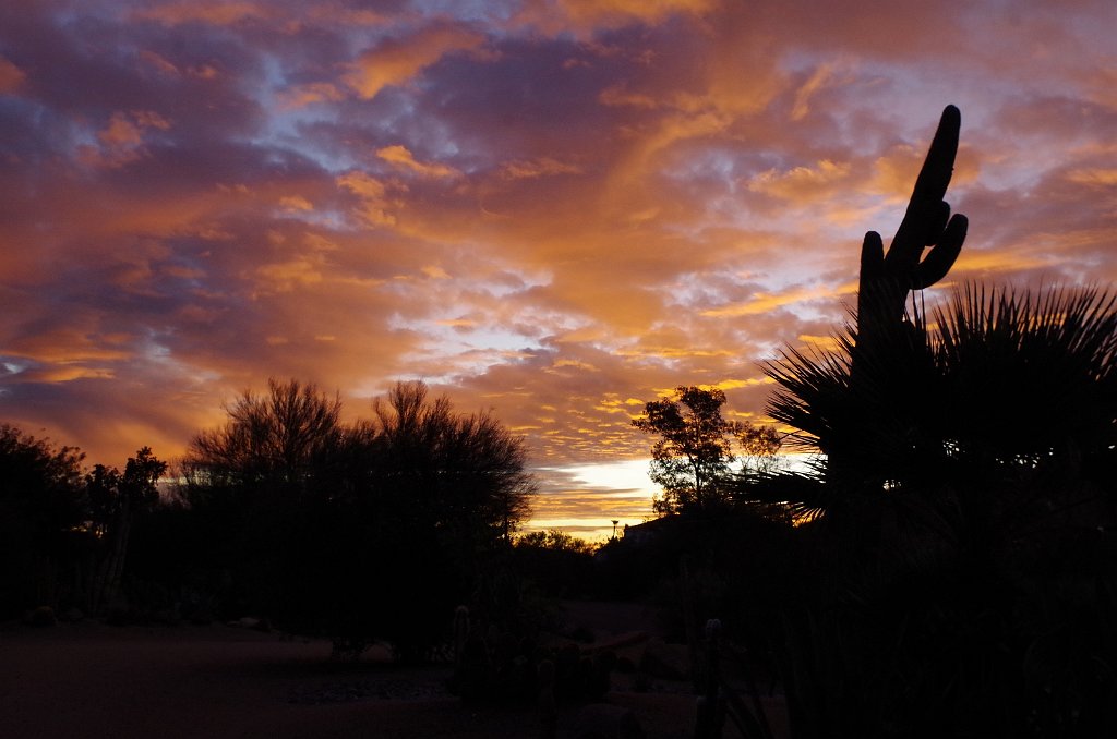 2019_1230_073058.JPG - Sunrise Phoenix AZ