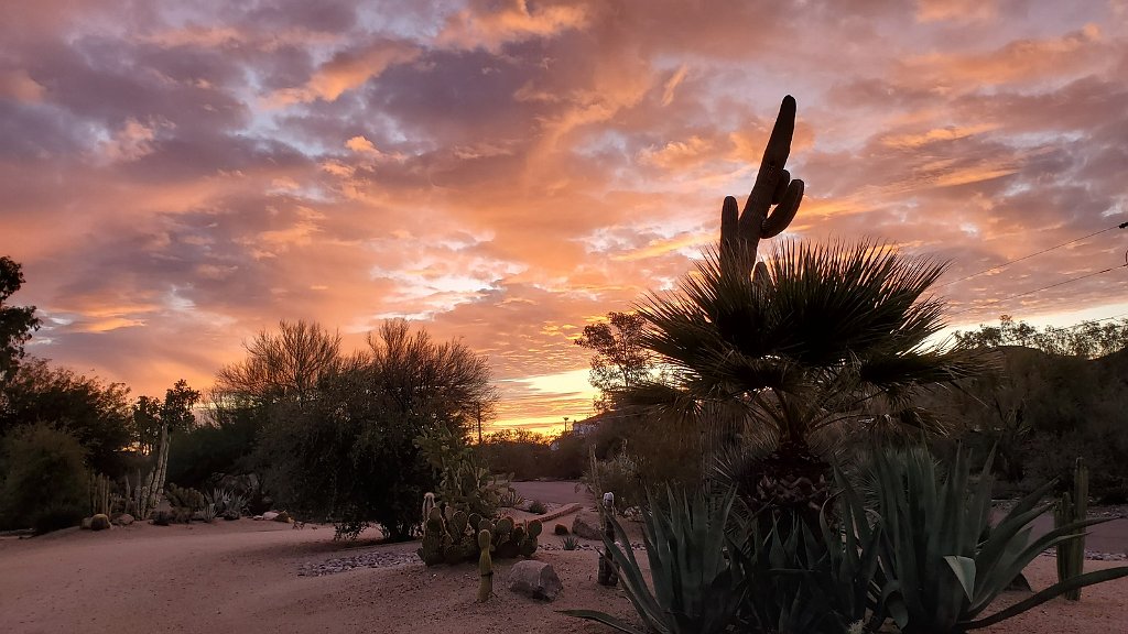 2019_1230_073120.jpg - Sunrise Phoenix AZ