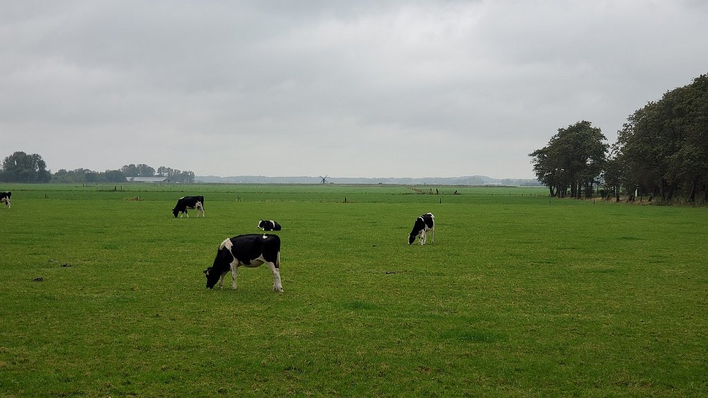 2020_1001_150434.jpg - Heilooerbos