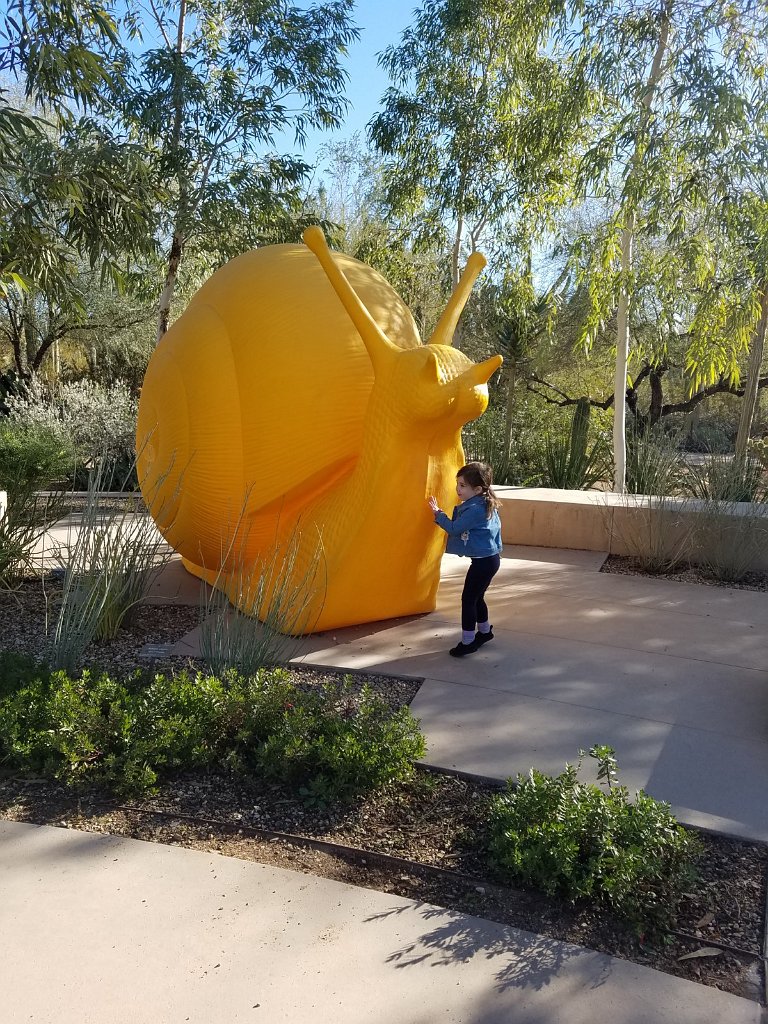 2020_0106_101616.jpg - Desert Botanical Garden