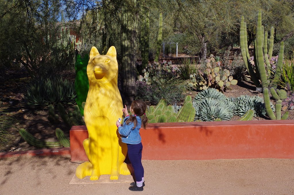 2020_0106_105108.JPG - Desert Botanical Garden