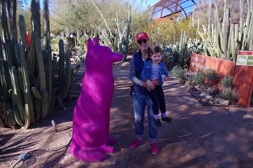 2020_0106_105311.JPG - Desert Botanical Garden