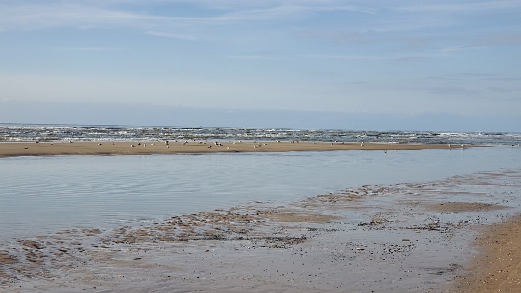 2020_0910_173707.jpg - Petten aan Zee