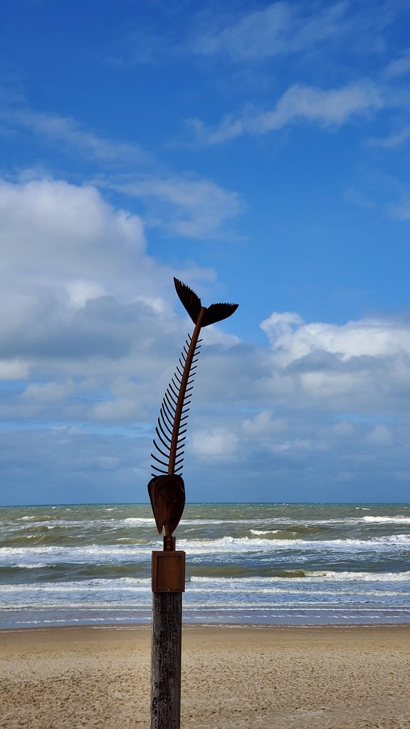 2020_1011_130045.jpg - Bergen aan Zee 